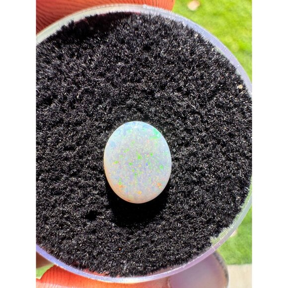 Australian Opal Cabochon - 0.90 carat in Display Box #189 - Picture 6 of 8